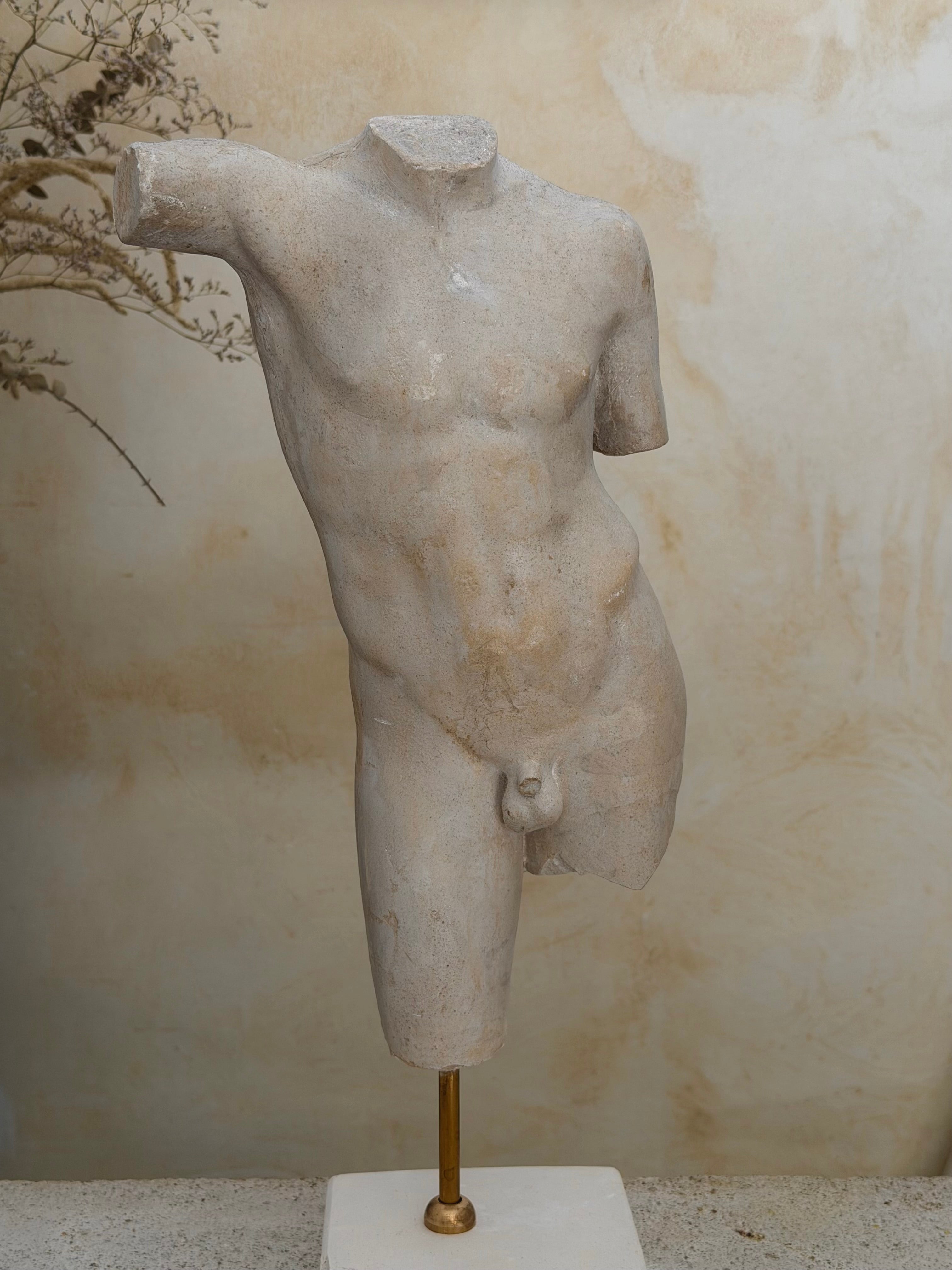 Torso of a Youth